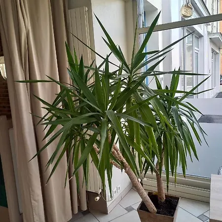 De La Szálloda 3*